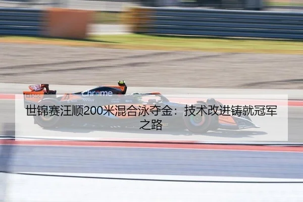 shi-jin-sai-wang-shun-mi-hun-he-yong-duo-jin-ji-shu-gai-jin-zhu-jiu-guan-jun-zhi-lu-2-715.jpg