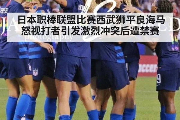 日本职棒联盟比赛西武狮平良海马怒视打者引发激烈冲突后遭禁赛